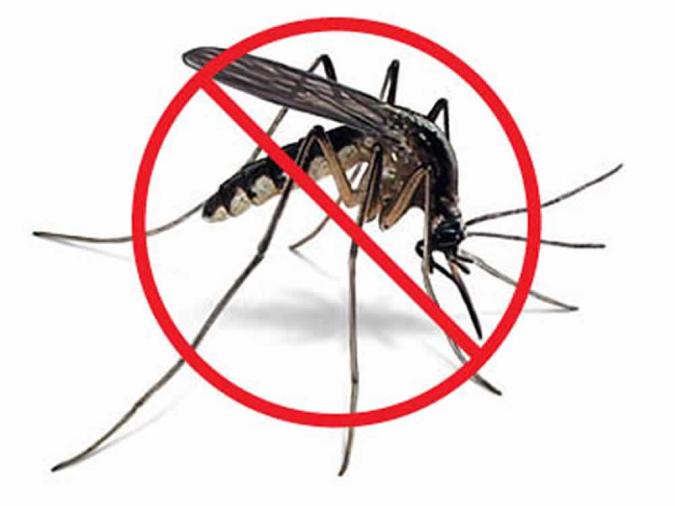 organic-mosquito-control.jpg